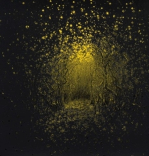 The Antlers – Burst Apart