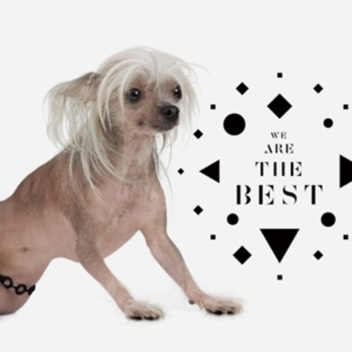 The Chap – We Are The Best