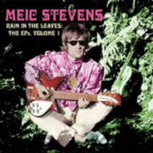 Meic Stevens – Rain In The Leaves