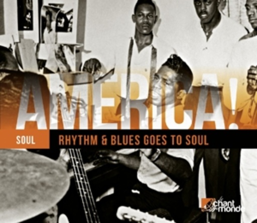 Diverse – America. Rhythm & Blues Goes To Soul