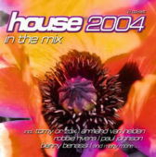 Diverse – House 2004 - In The Mix