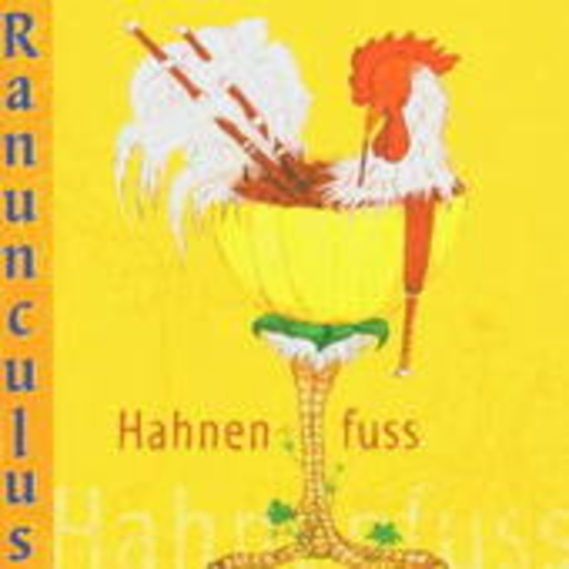 Hahnenfuß
