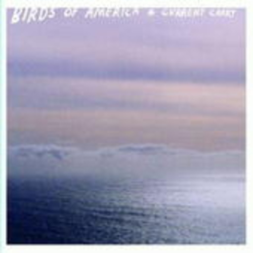 Birds Of America – Current Carry
