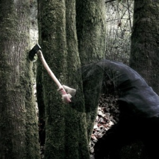 Baptists – Bushcraft