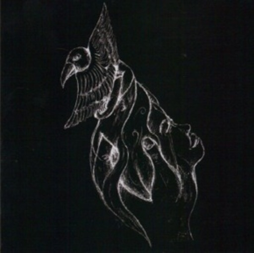 Tori – Albatross