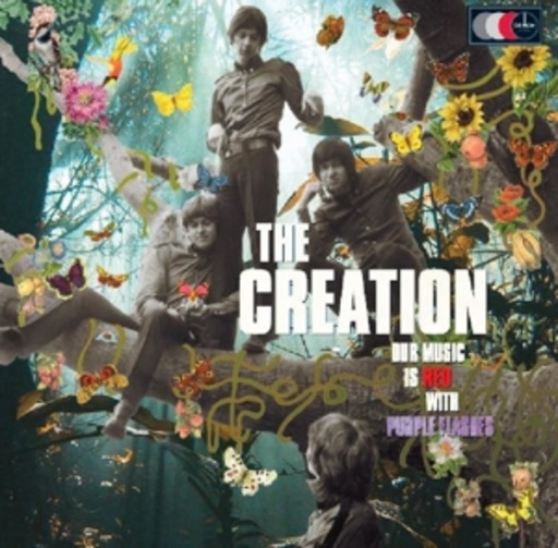Creation – Purple Flashes