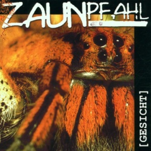 Zaunpfahl – Gesicht