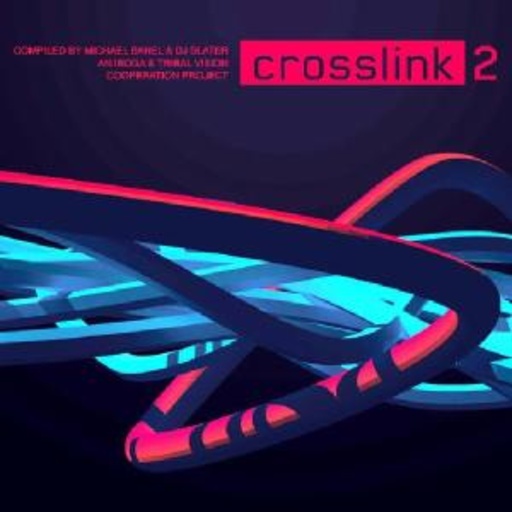Diverse – Crosslink 2