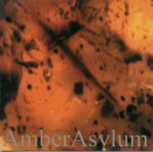 Amber Asylum – Frozen In Amber