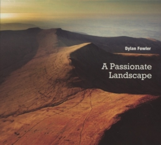 Dylan Fowler – A Passionate Landscape