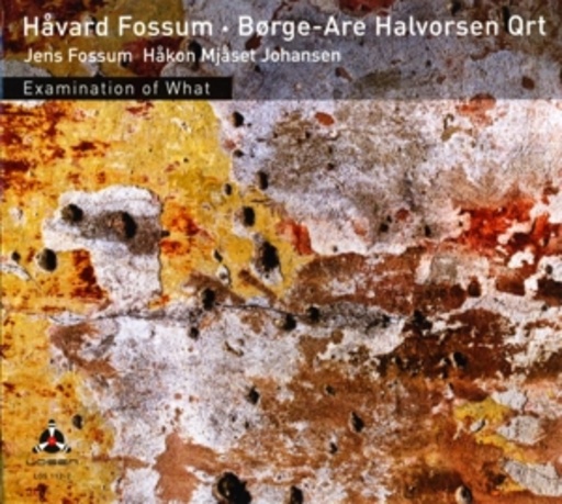 Harvard Fossum/Borge-Are/Halvorsen Quartet – Examination Of What