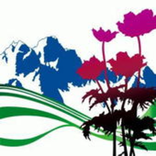 New Order – International - The Greatest Hits