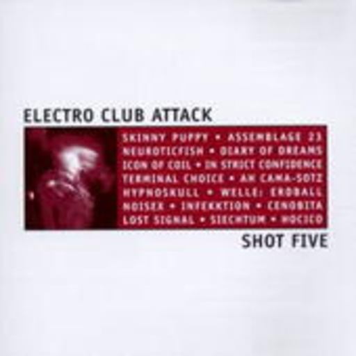 Diverse – Electro Club Attack V