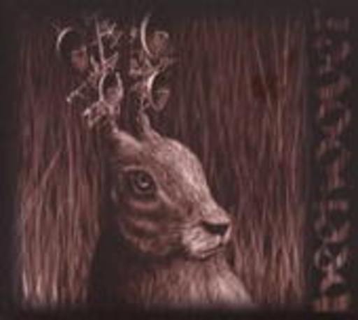 Beehoover – Heavy Zooo