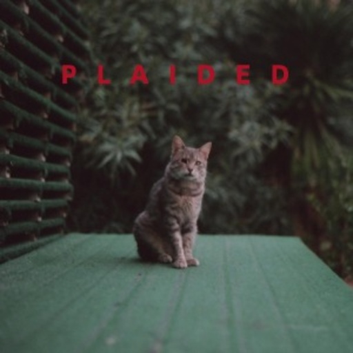 Plaided – Playdate