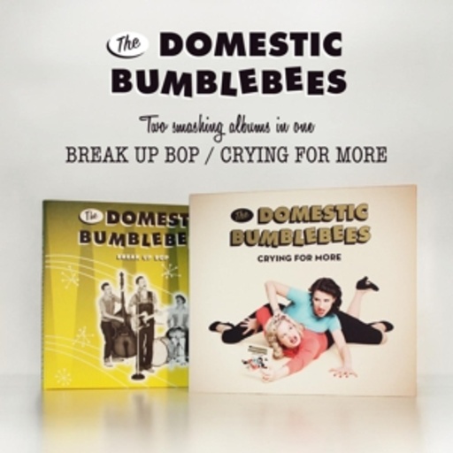 The Domestic Bumblebees – Break Up Boy & Crying For More