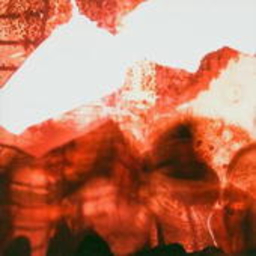 Ikarus – Speak Music