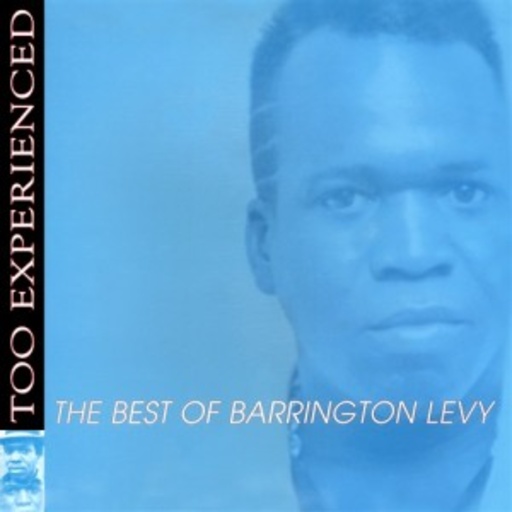 Barrington Levy – Too Experienced - The Best Of