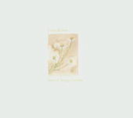 Luka Bloom – Before Sleep Comes