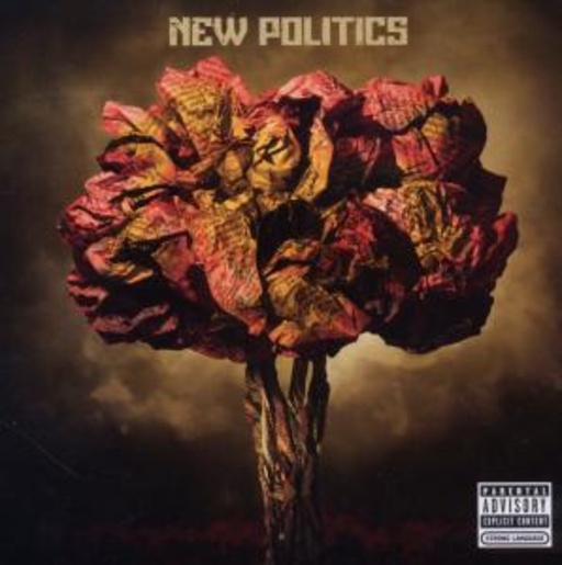 New Politics – New Politics