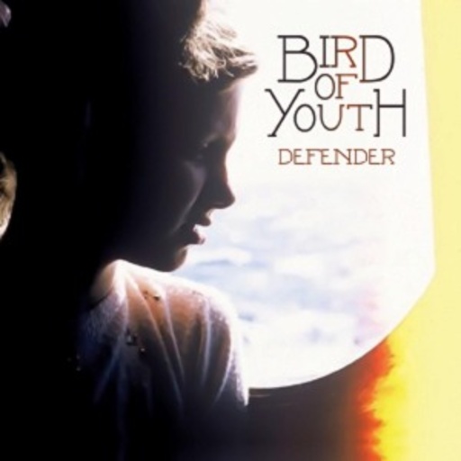 Bird Of Youth – Defender