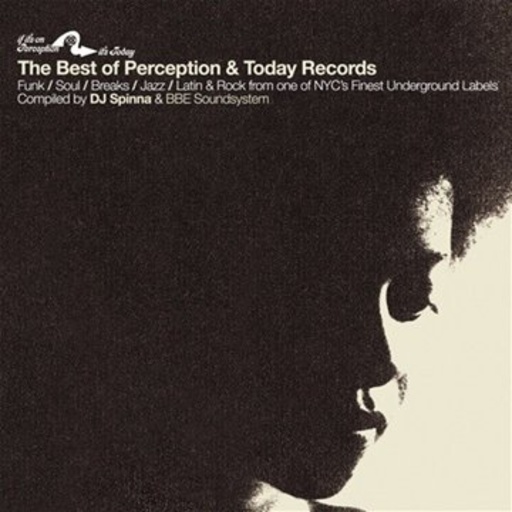 Diverse – Best Of Perception & Today Records Compiled