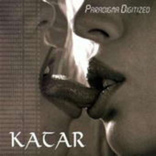Katar – Paradigma Digitize