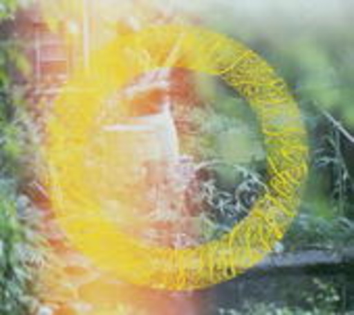 Soft Circle – Full Bloom