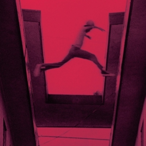 Mos Def – The Ecstatic
