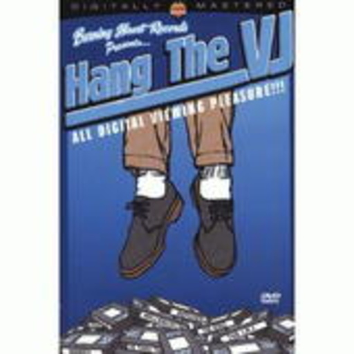 Diverse – Hang The VJ