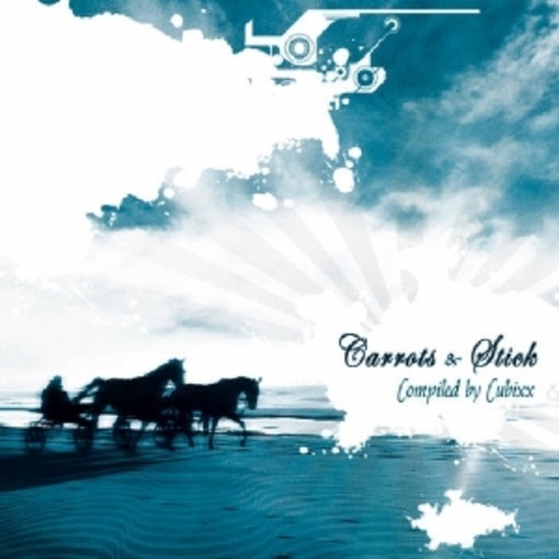 Diverse – Carrots & Stick