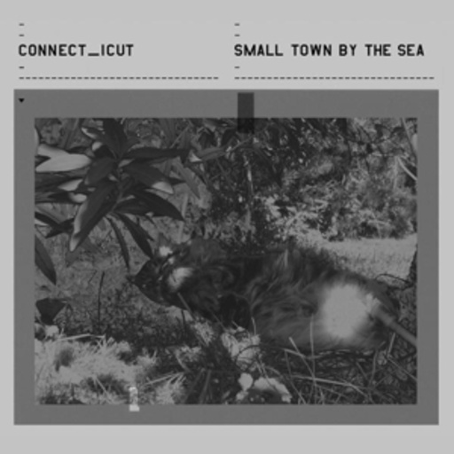 Connect_Icut – Small Town By The Sea