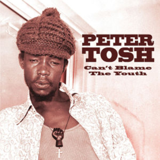 Peter Tosh – You Can't Blame The Youth