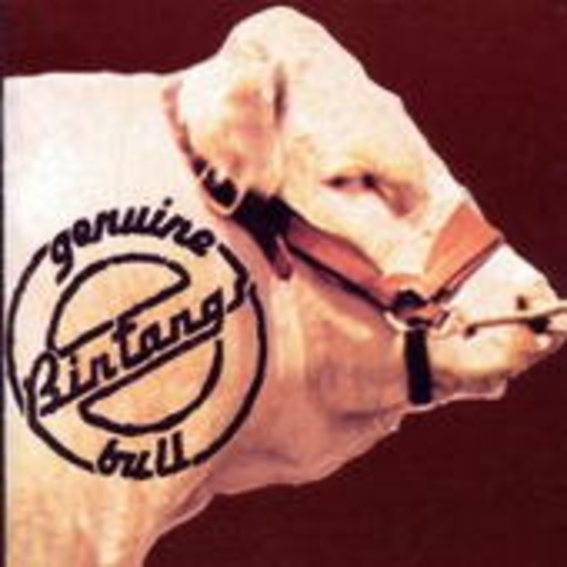 Bintangs – Genuine Bull