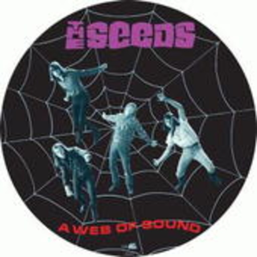 A Web Of Sounds