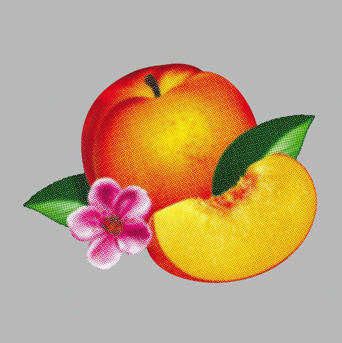 Phoenix – Bankrupt!
