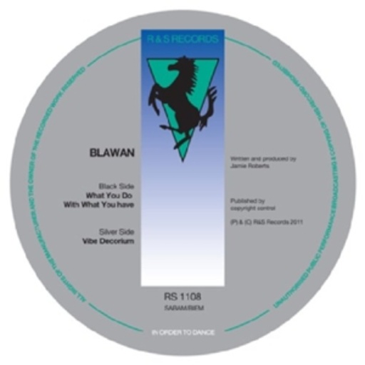 Blawan – What You Do With What You Have