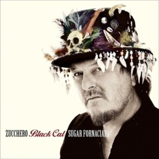 Zucchero – Black Cat