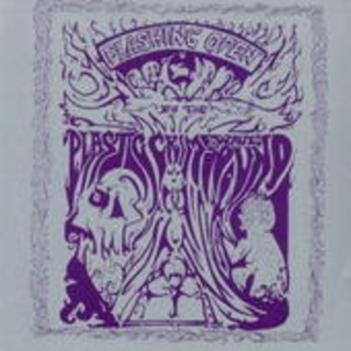 Plastic Crimewave Sound – Flashing Open