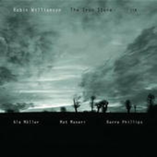 Robin Williamson – The Iron Stone