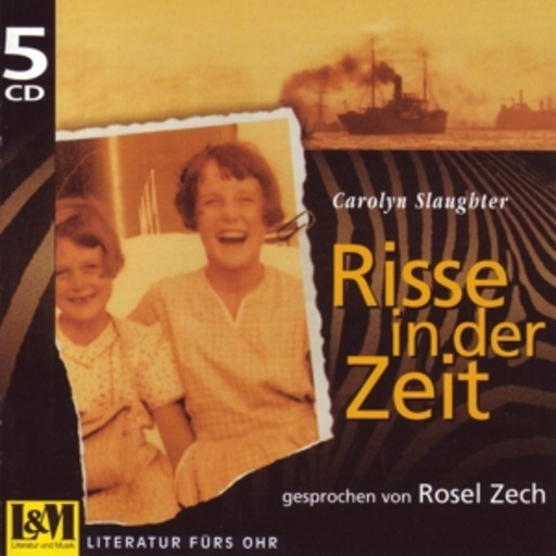 Diverse – Risse in der Zeit