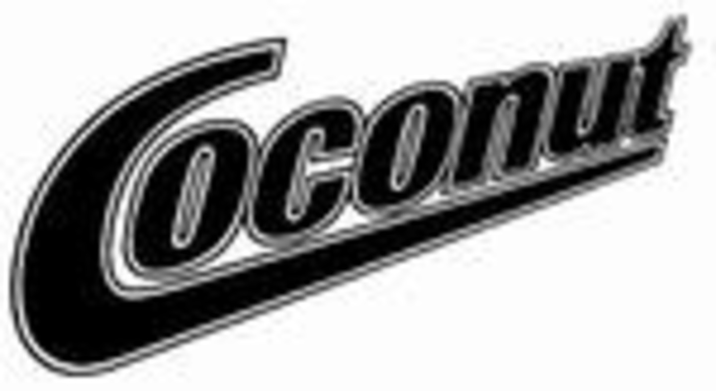 Startete mit neuer Promotionleitung und neuem Dance-Label ins Jahr: Coconut Records