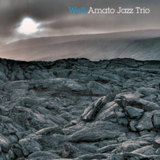 Amato Jazz Trio – Well