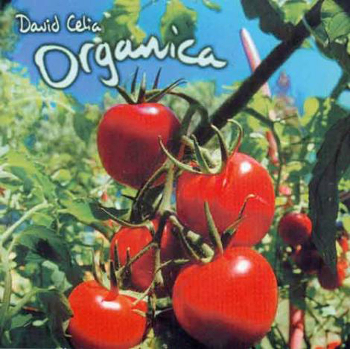 David Celia – Organica
