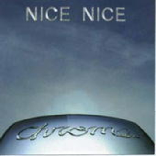 Nice Nice – Chrome