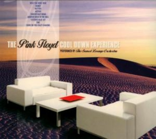 Sunset Lounge Orchestra – The Pink Floyd Cool Down Experience