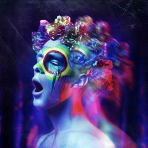 CEO – Wonderland