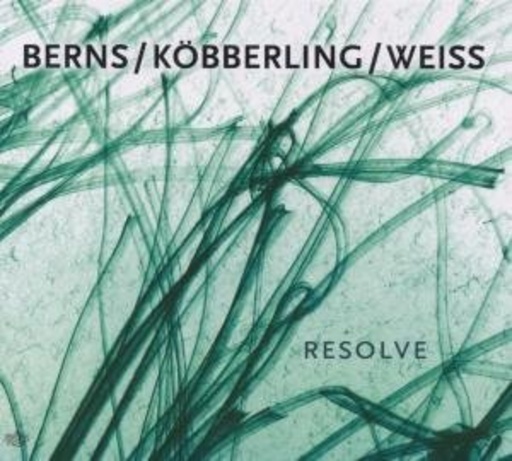 Berns/Köberling/Weiss – Resolve