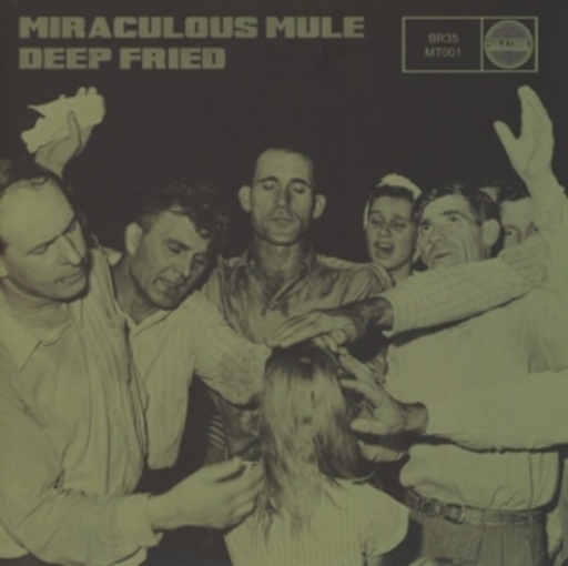 Miraculous Mule – Deep Fried