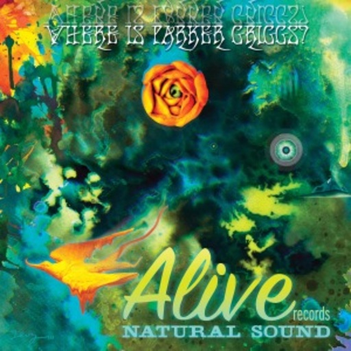 Diverse – Where Is Parker Griggs?